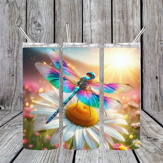 Daisy Dragonfly