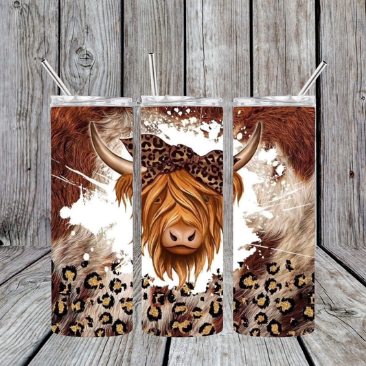 Highland Cow