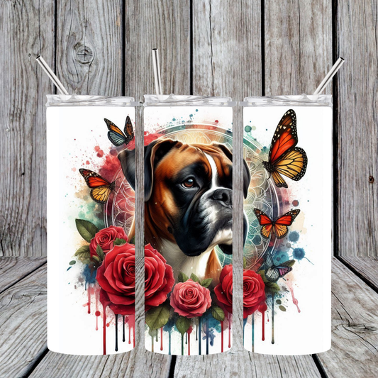 Boxer