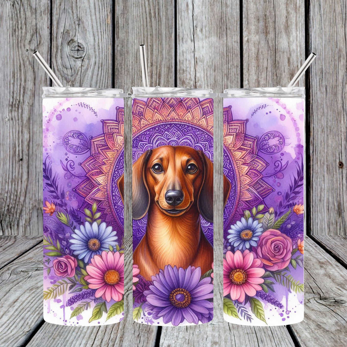 Dachshund