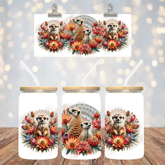 Meerkats