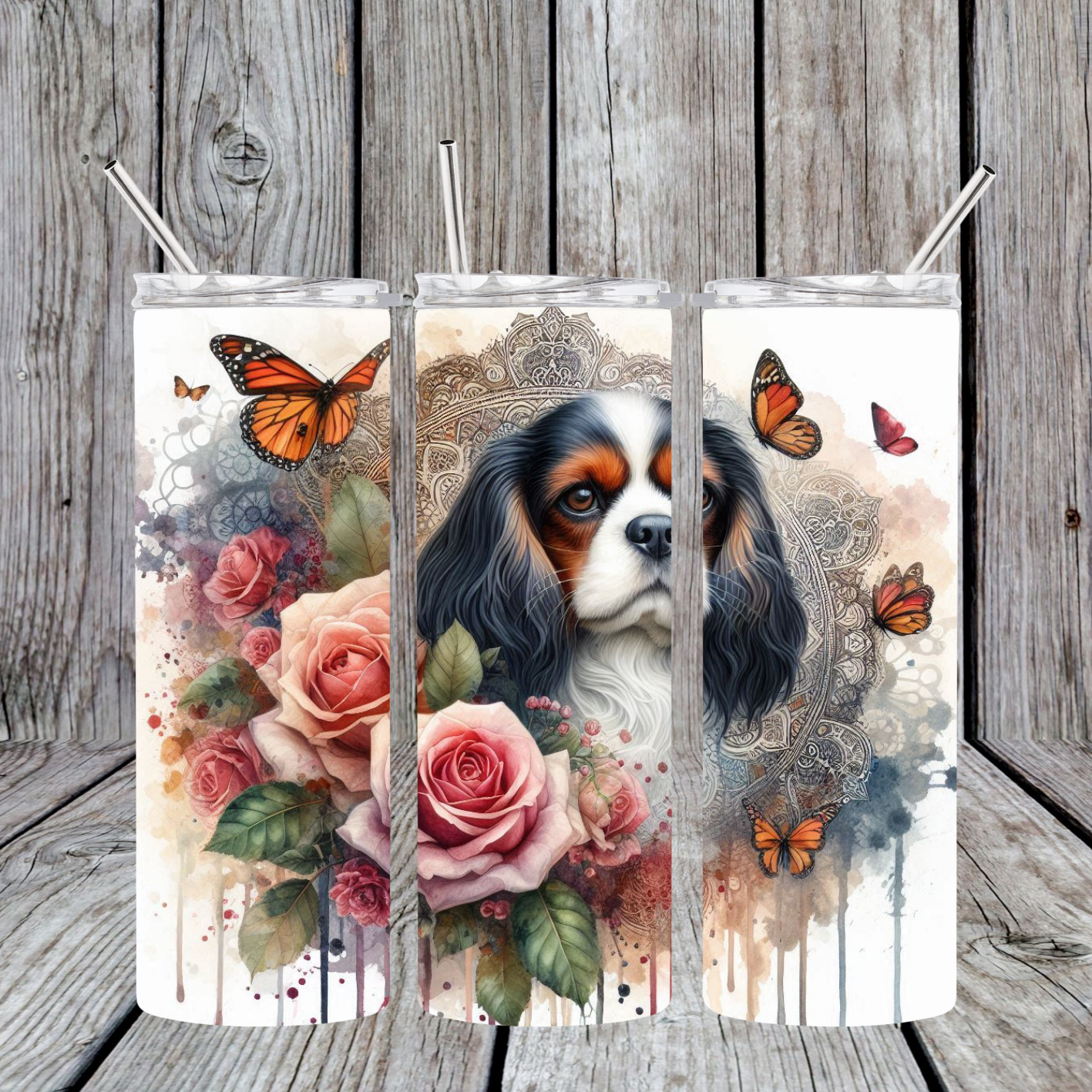 King Charles Cavalier