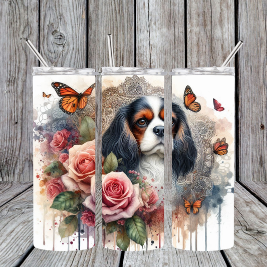 King Charles Cavalier