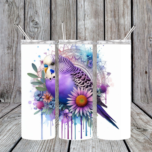 Purple Budgie